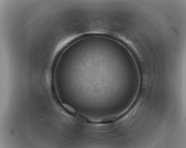 X0000113211319200909171526