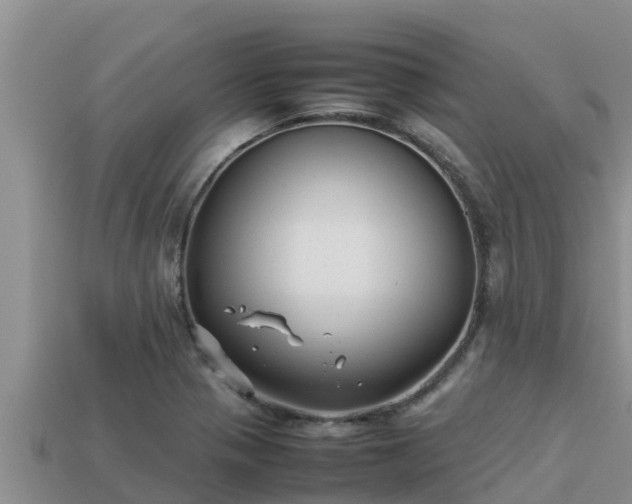 X0000113211321200909171526