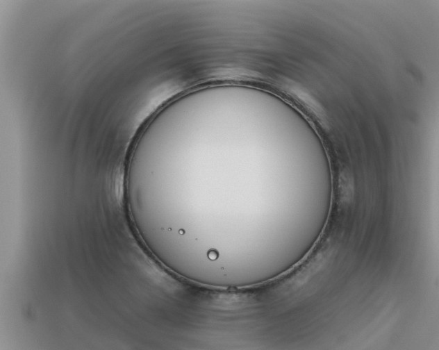 X0000113211322200909171526