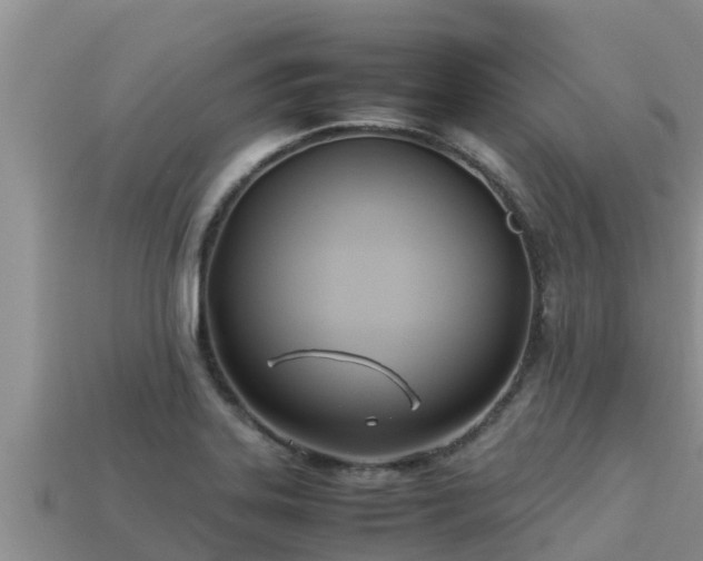 X0000113211323200909171526