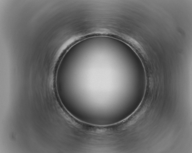 X0000113211326200909171526