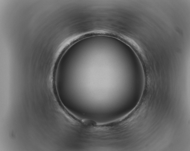 X0000113211327200909171526