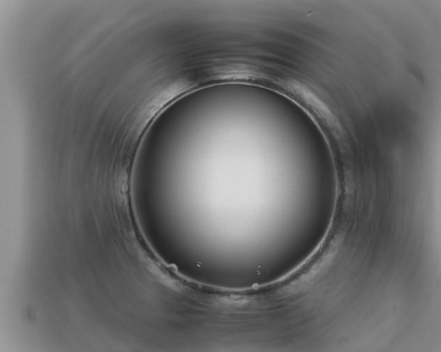 X0000113211329200909171526