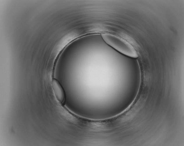 X0000113211330200909171526