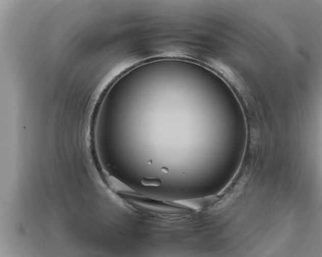 X0000113211331200909171526