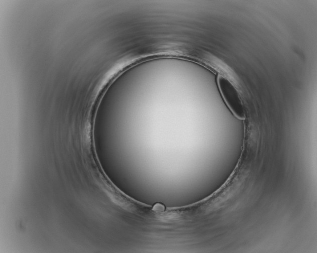 X0000113211332200909171526