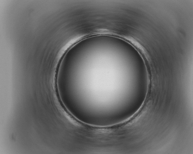 X0000113211333200909171526