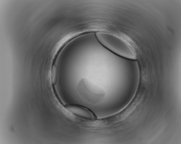 X0000113211334200909171526