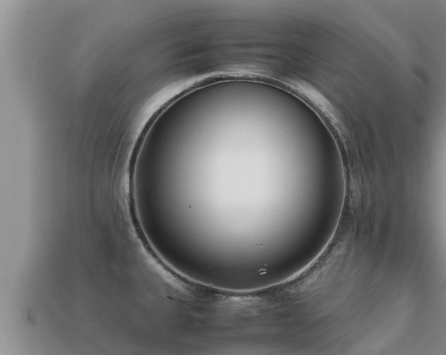 X0000113211335200909171526