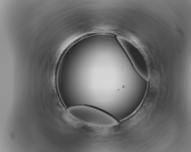 X0000113211336200909171526