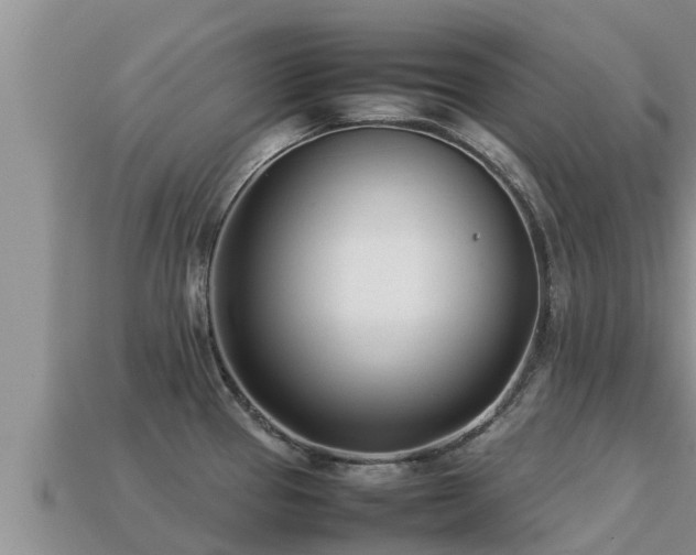 X0000113211337200909171526