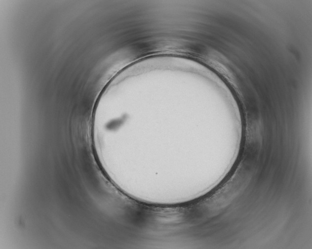 X0000113211338200909171526