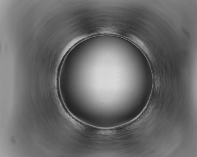 X0000113211339200909171526