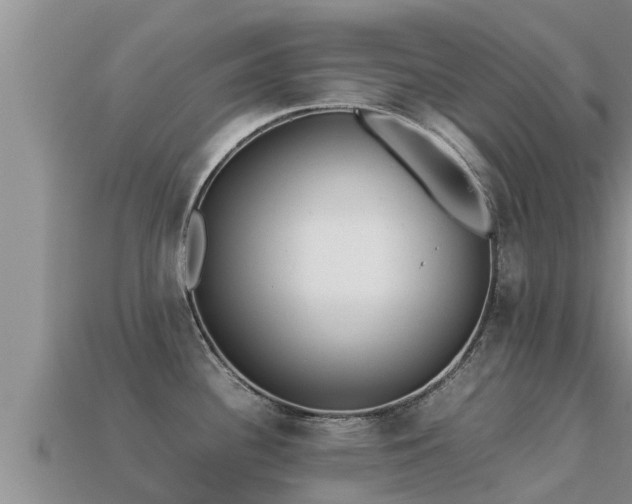 X0000113211340200909171526