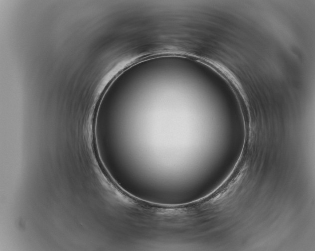 X0000113211341200909171526