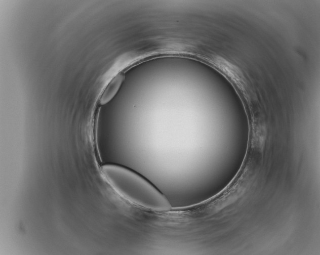 X0000113211342200909171526