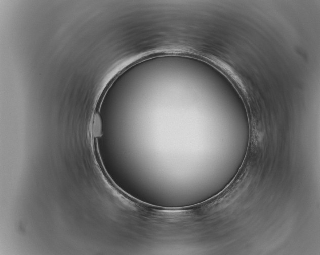 X0000113211343200909171526