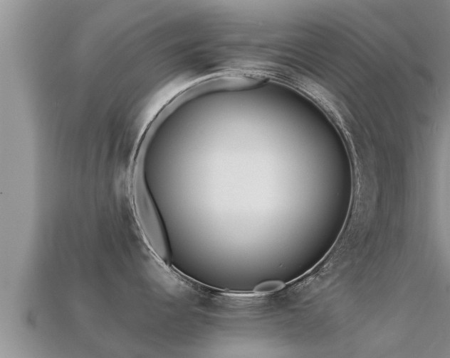 X0000113211344200909171526