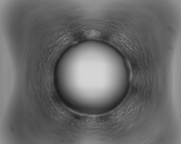 X0000113211345200909171526