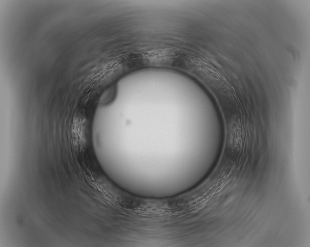 X0000113211346200909171526