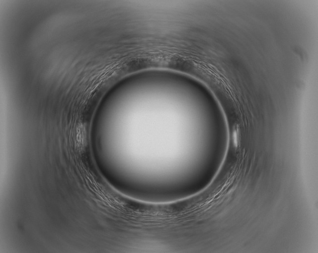 X0000113211347200909171526