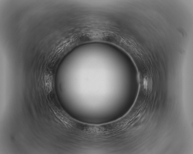 X0000113211348200909171526