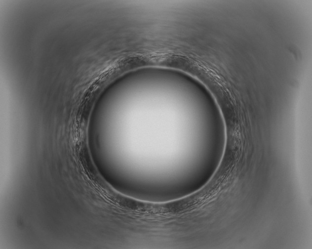 X0000113211349200909171526