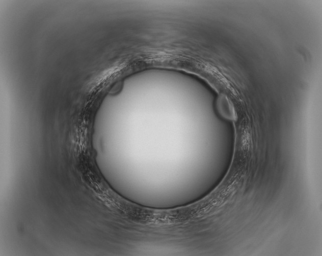 X0000113211350200909171526