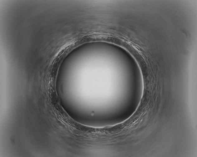 X0000113211351200909171526