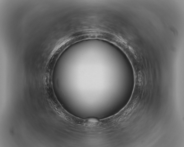 X0000113211352200909171526