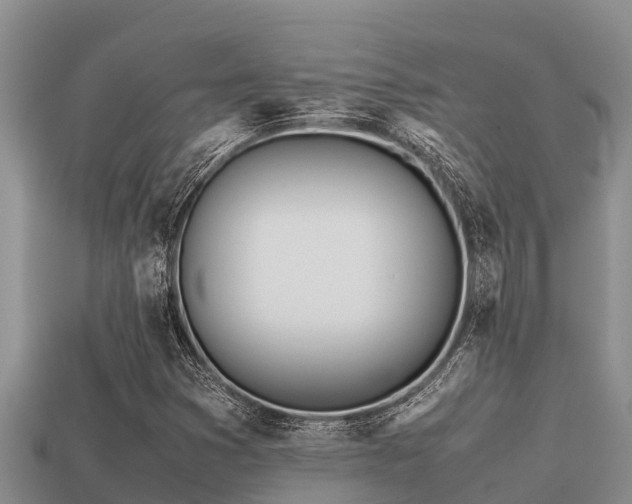 X0000113211353200909171526