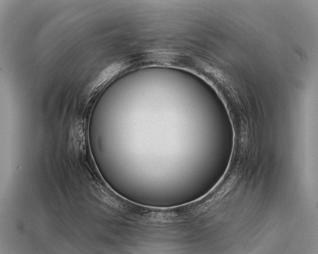 X0000113211354200909171526