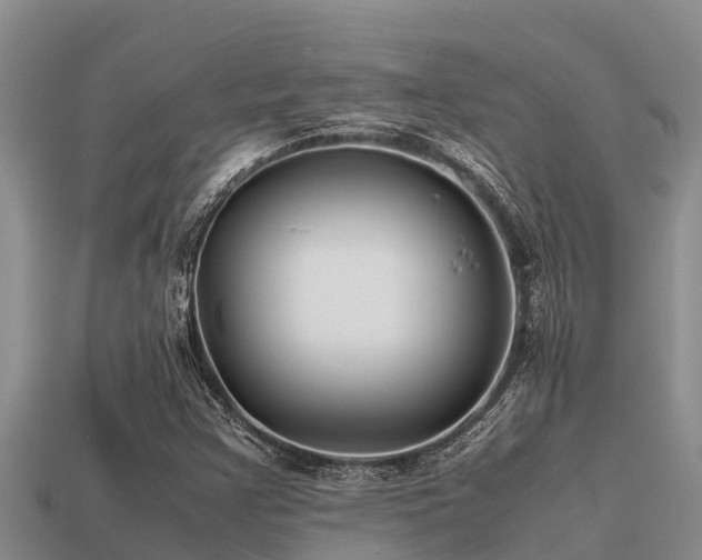 X0000113211355200909171526