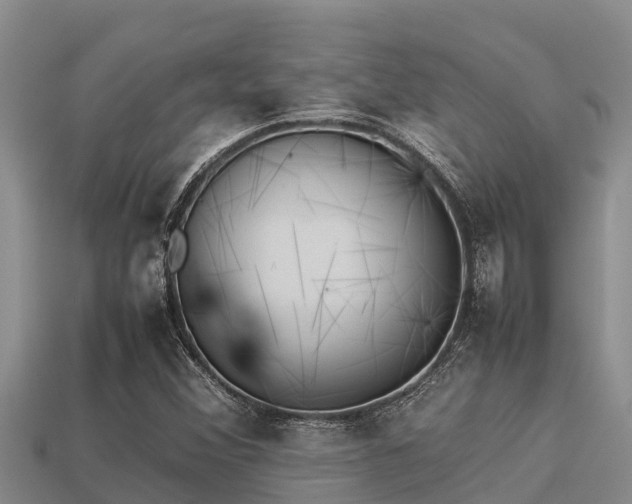 X0000113211356200909171526