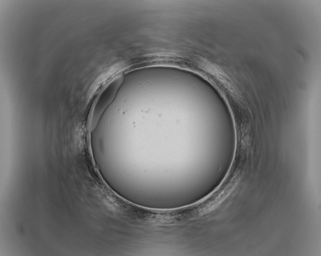 X0000113211357200909171526