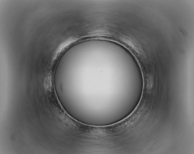 X0000113211358200909171526