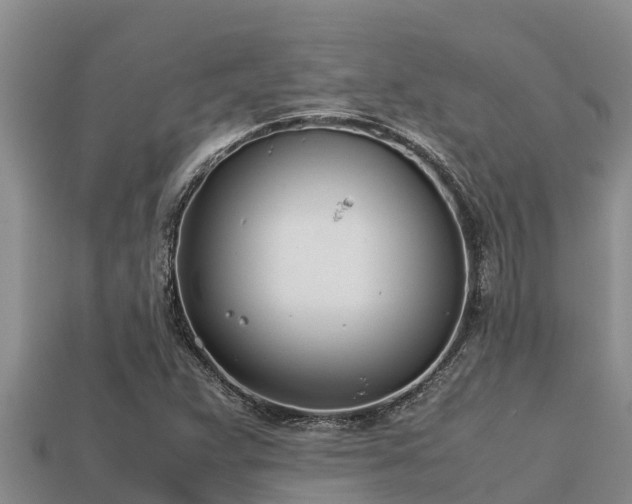 X0000113211359200909171526