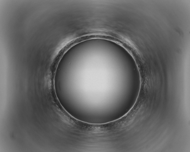 X0000113211360200909171526