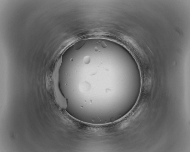 X0000113211361200909171526