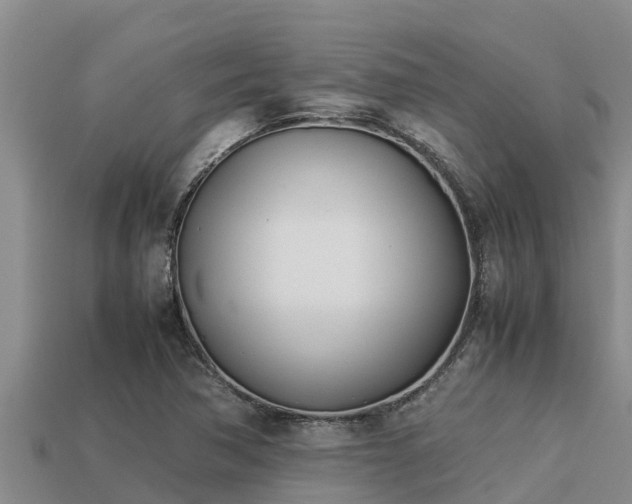 X0000113211362200909171526