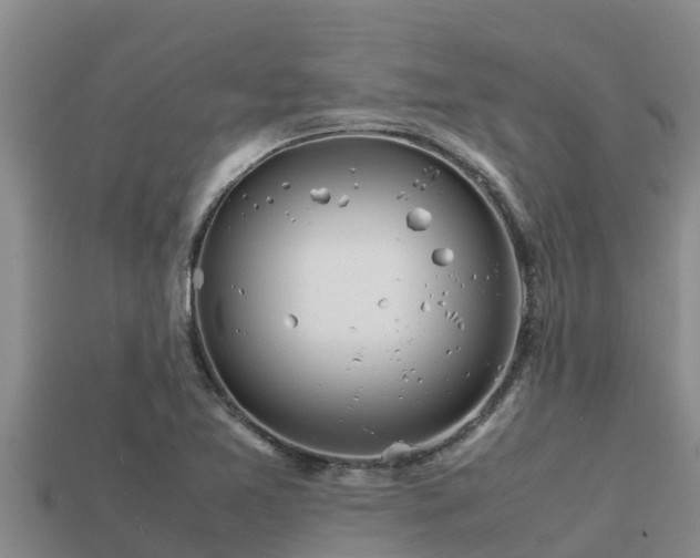 X0000113211365200909171525