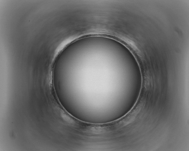 X0000113211366200909171525