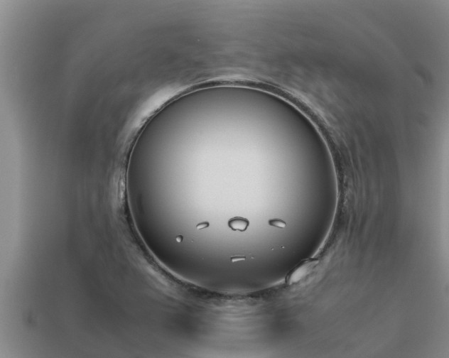 X0000113211367200909171525