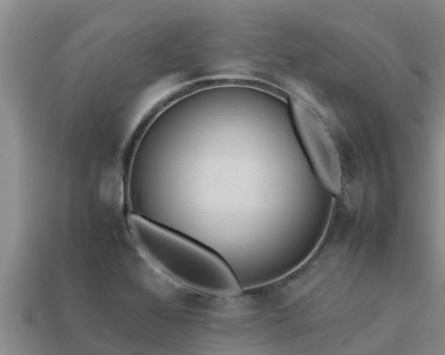 X0000113211368200909171525