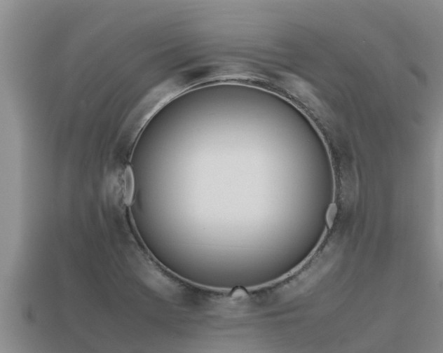 X0000113211369200909171525