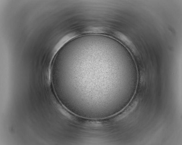 X0000113211370200909171525