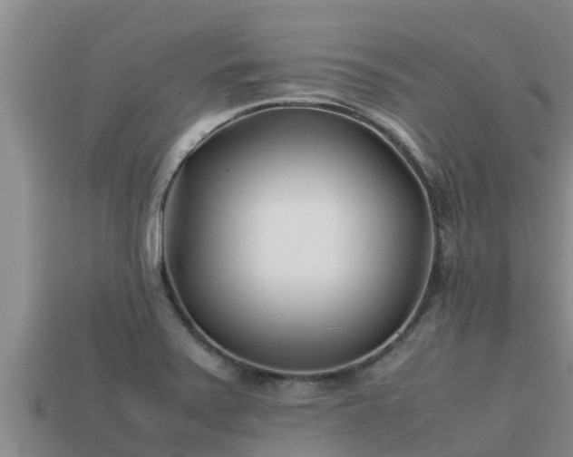 X0000113211371200909171525