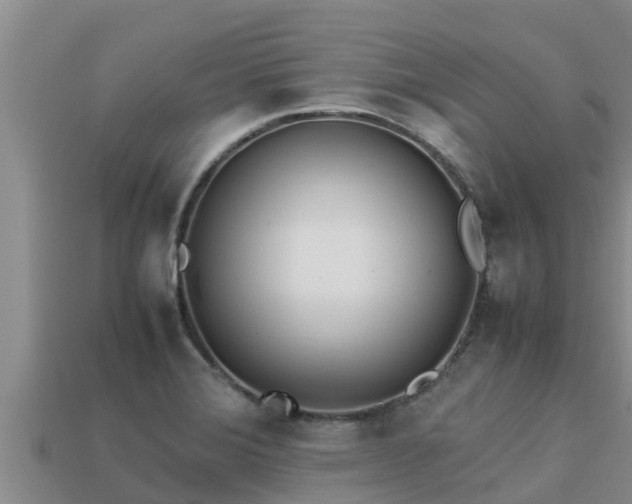 X0000113211372200909171525