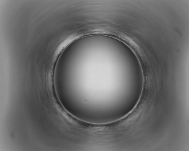 X0000113211373200909171525