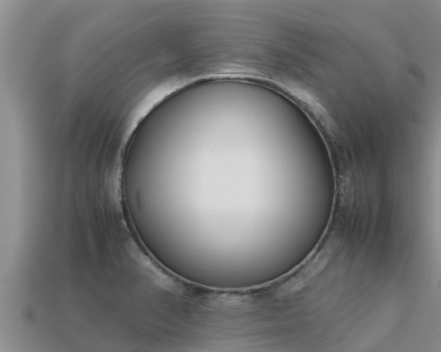 X0000113211374200909171525